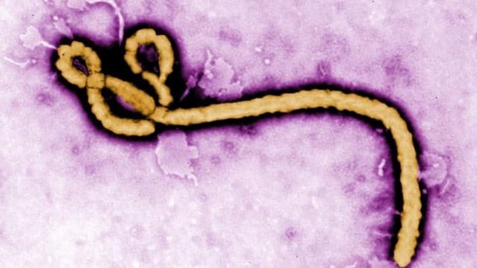 Virus Ebola